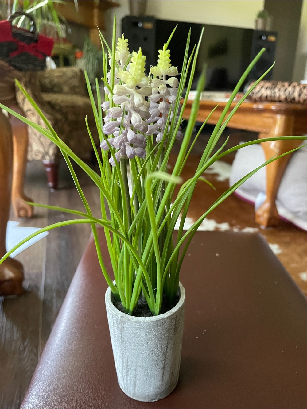 Faux Grape Hyacinth (Muscari) Plant in Grey concrete pot 9.5"
